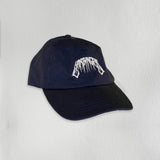 Logo Caps - 2 Pink & 2 Navy left!