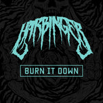 Burn It Down - MP3